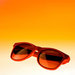Sports_sunglasses_img_4838