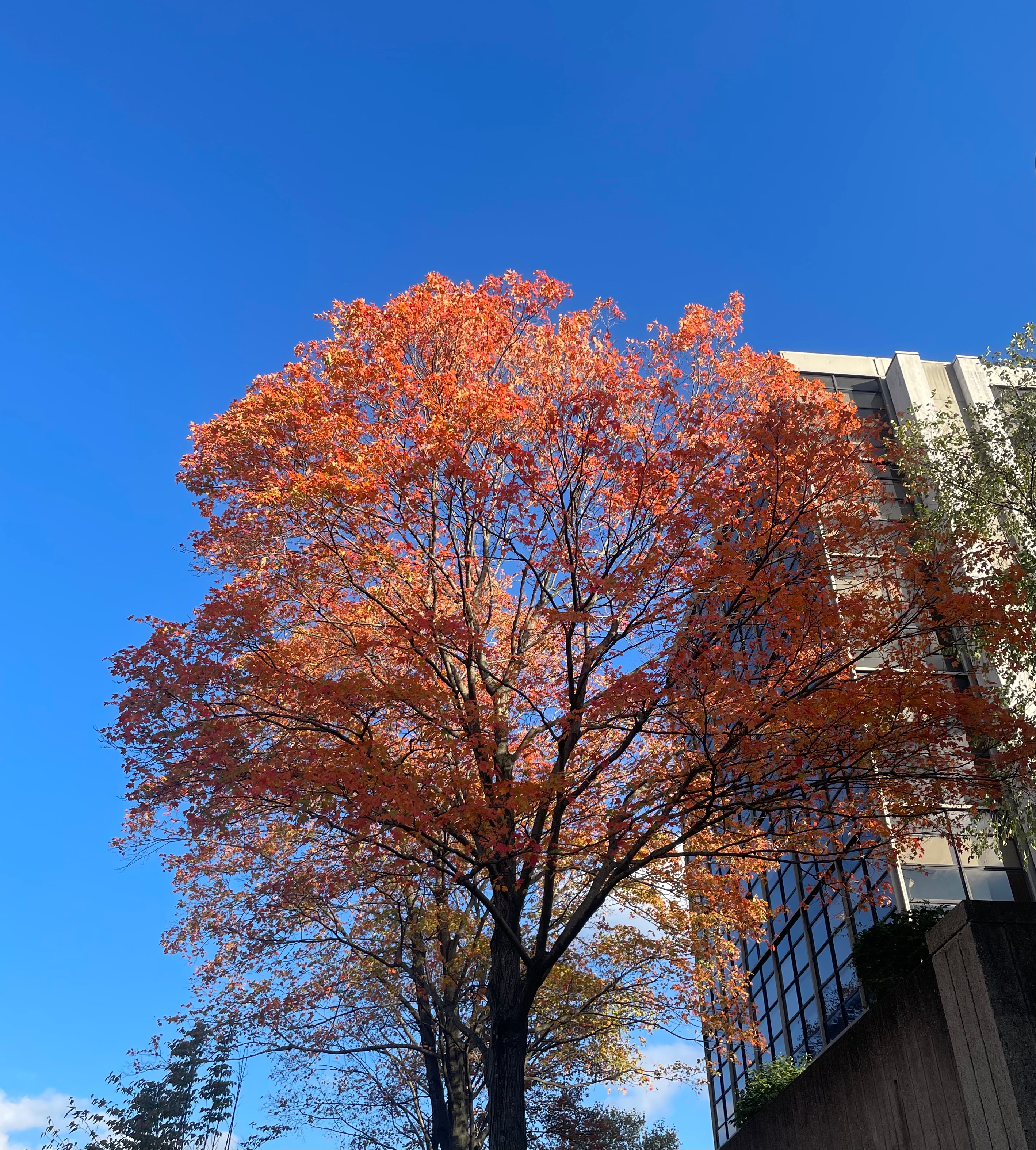 Students prepare to vote on Tuesday
