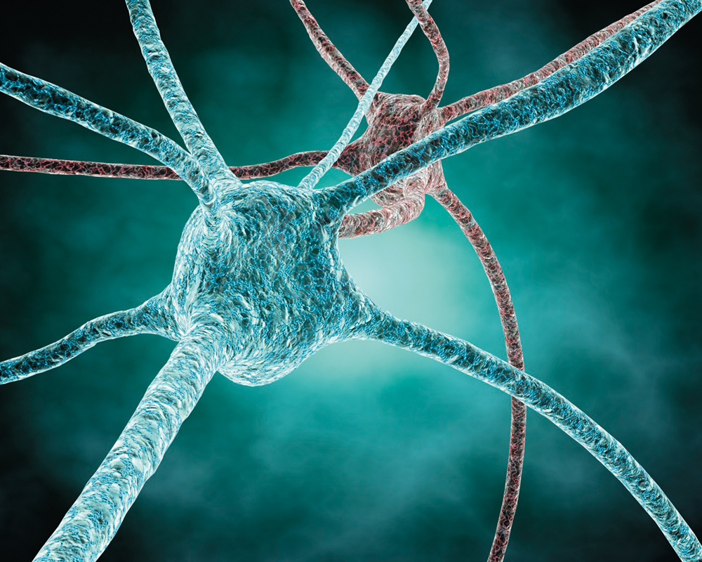 Nathan Urban and Robert Kass have recently received a $930,000 grant from the National Science Foundation for neuroscience research. (credit: juliendn via Flickr)