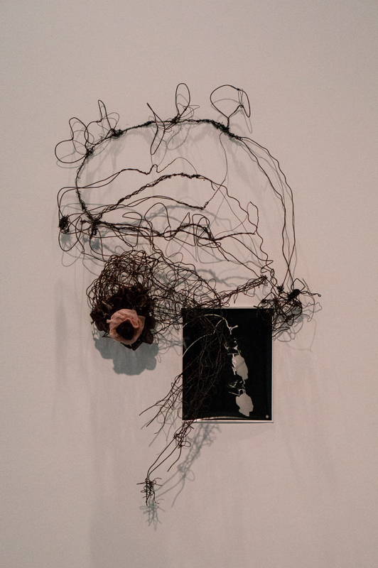 *Neurons and Other Memories* examines the interactions between art and science, with emphasis on history. (credit: Kevin Zheng/)