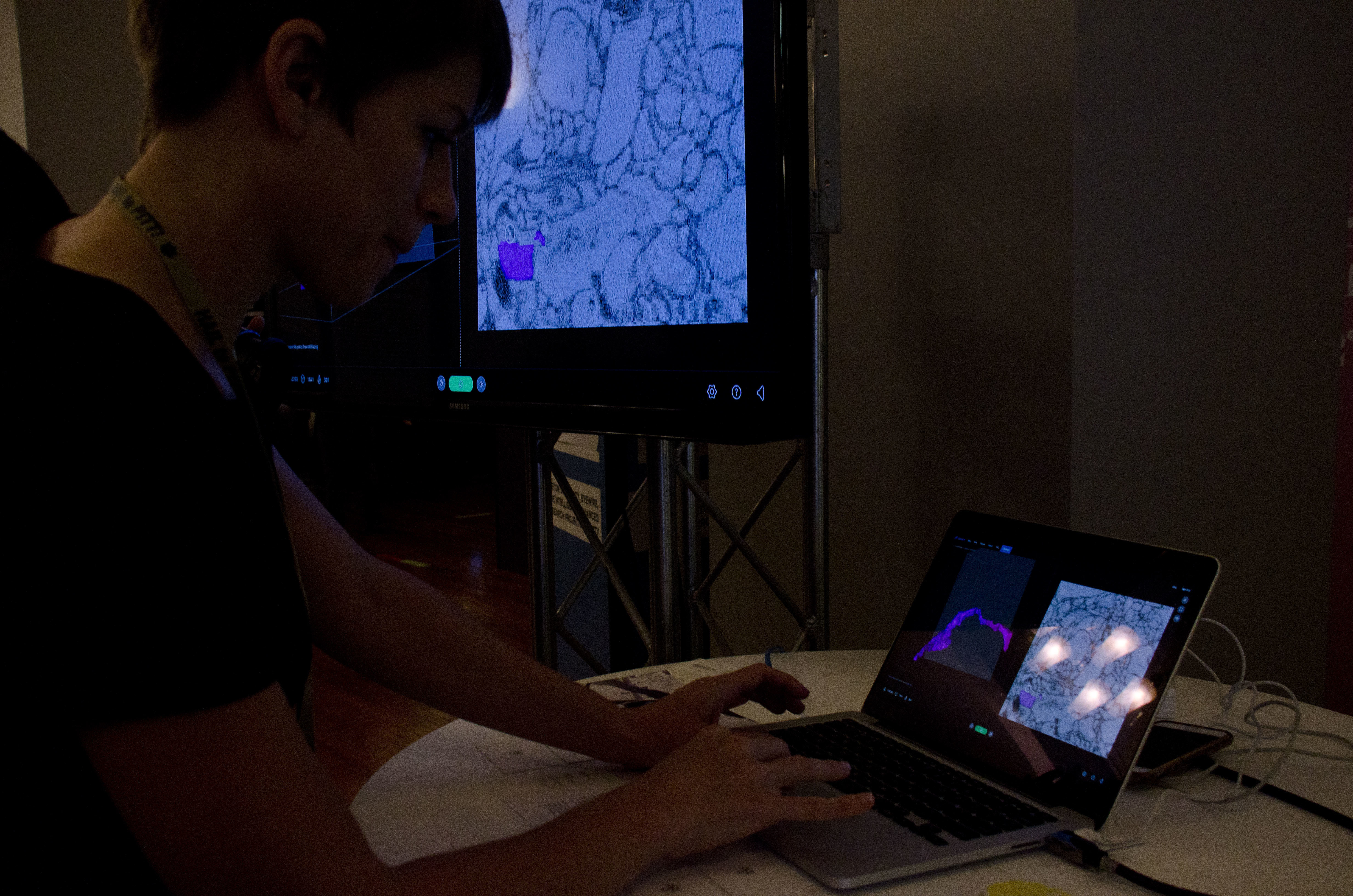 The "Using Games to Map the Brain" exhibit, hosted by Princeton University, featured new visualizations from Eyewire, a system of 3D neural circuits using virtual reality. Their new game, Neo, involves puzzles of perception. (credit: Theodore Teichman/Photo Editor)